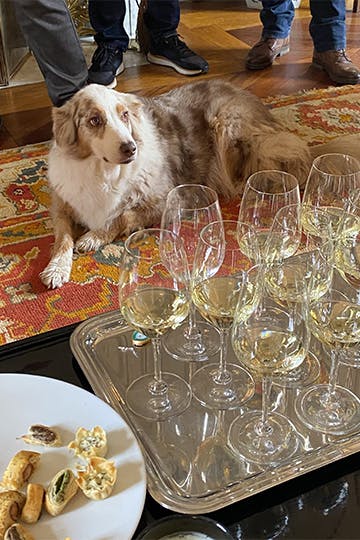 Property tour: Château Picque Caillou, Pessac-Léognan - U'wine